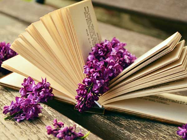 book with lavendar